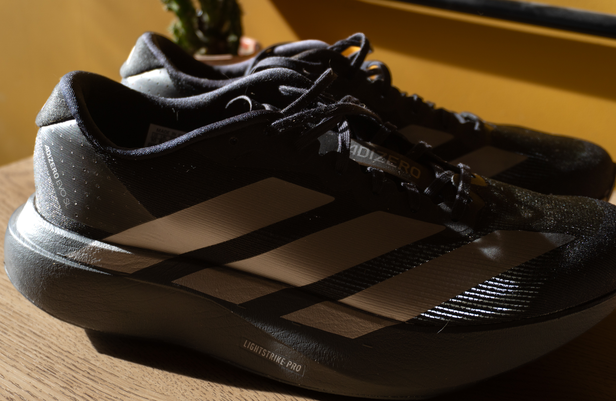 Adidas Adizero Evo SL Review: Does it Live Up to the Hype?